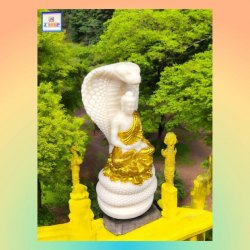 象牙果蛇護《大日如來》描金佛像《附送*淨佛布* 一條“送完即止”》(型號：JS-BS-8)【*優惠價*直接出售，不設折扣優惠】不設郵寄, 可用順豐到付《購買滿 500元或以上 包順豐》