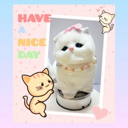 【自家設計 ~ 寵物頸鏈 *毛公仔也合適*】夢幻式設計幻彩水晶米珠*寵物*頸鏈 (型號：JS-HPN-05)【 ※以優惠價出售, 不再設任何折扣※ 《只包順豐運費》】