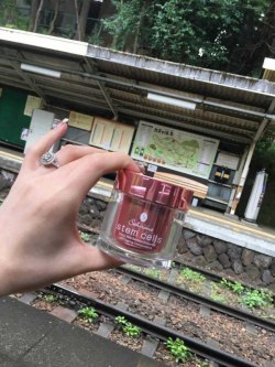 日本 Sakirana 凍齡鮭魚幹細胞 30pcs