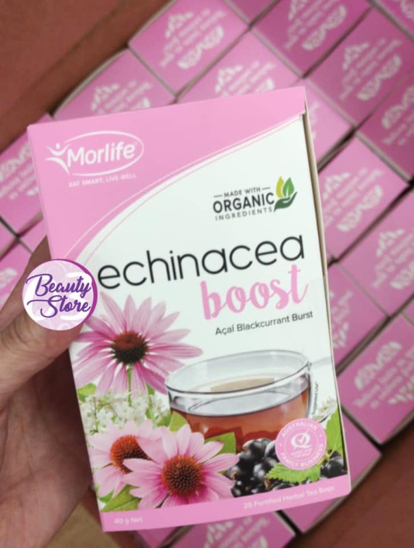 澳洲 Morlife Enchinacea Boost 紫錐花抗感冒茶(1盒25包)