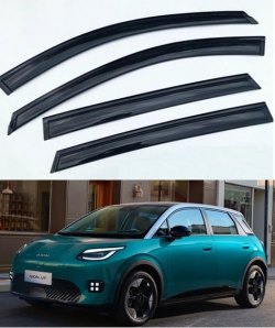 Aion UT 黑荼色透明雨擋 (現貨)